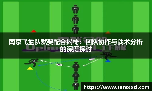 金年会